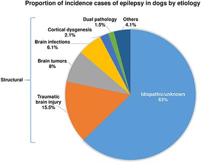 Frontiers Dogs as a Natural Animal Model of Epilepsy